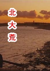 日本一区二区黄色
